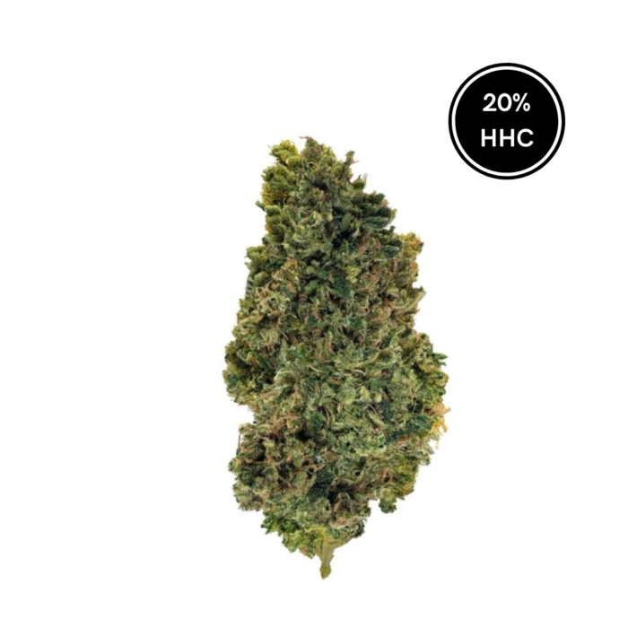 11_69c494a6-0282-42a3-946a-998656937b9b TROPICAL HHC - Dr. Smoke Benalmádena - Málaga