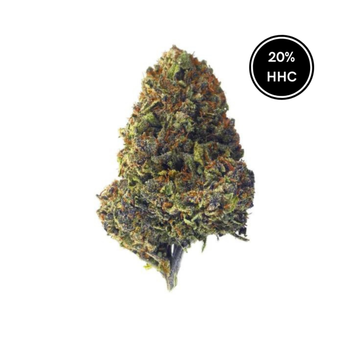 4 Blueberry HHC - Dr. Smoke Benalmádena - Málaga