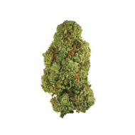 Green Daddy CBD - Dr. Smoke Benalmádena - Málaga