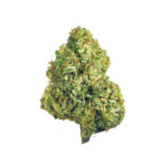 Amnesia CBD - Dr. Smoke Benalmádena - Málaga