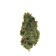 Jack Herrer HHC - Dr. Smoke Benalmádena - Málaga