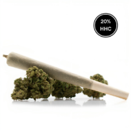 Jack Herrer HHC - Dr. Smoke Benalmádena - Málaga