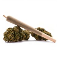 Frutella CBD - Dr. Smoke Benalmádena - Málaga