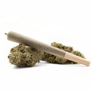 Watermelon CBD - Dr. Smoke Benalmádena - Málaga